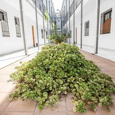 La Casa De Artista, Zona Museo